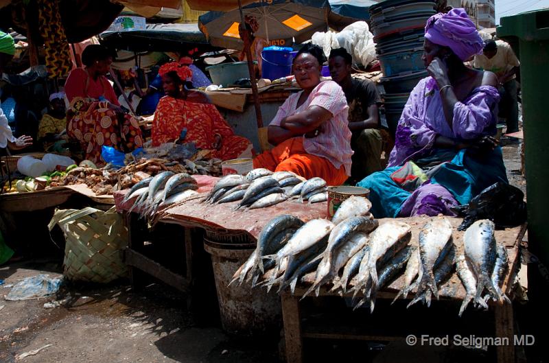 20090528_141207 D300 P2 P2.jpg - A small fish stall in one of the markets.  One of the foulest smelling I have encountered